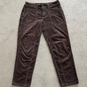 Anthropologie, Pilcro, Dark Brown Cords 28